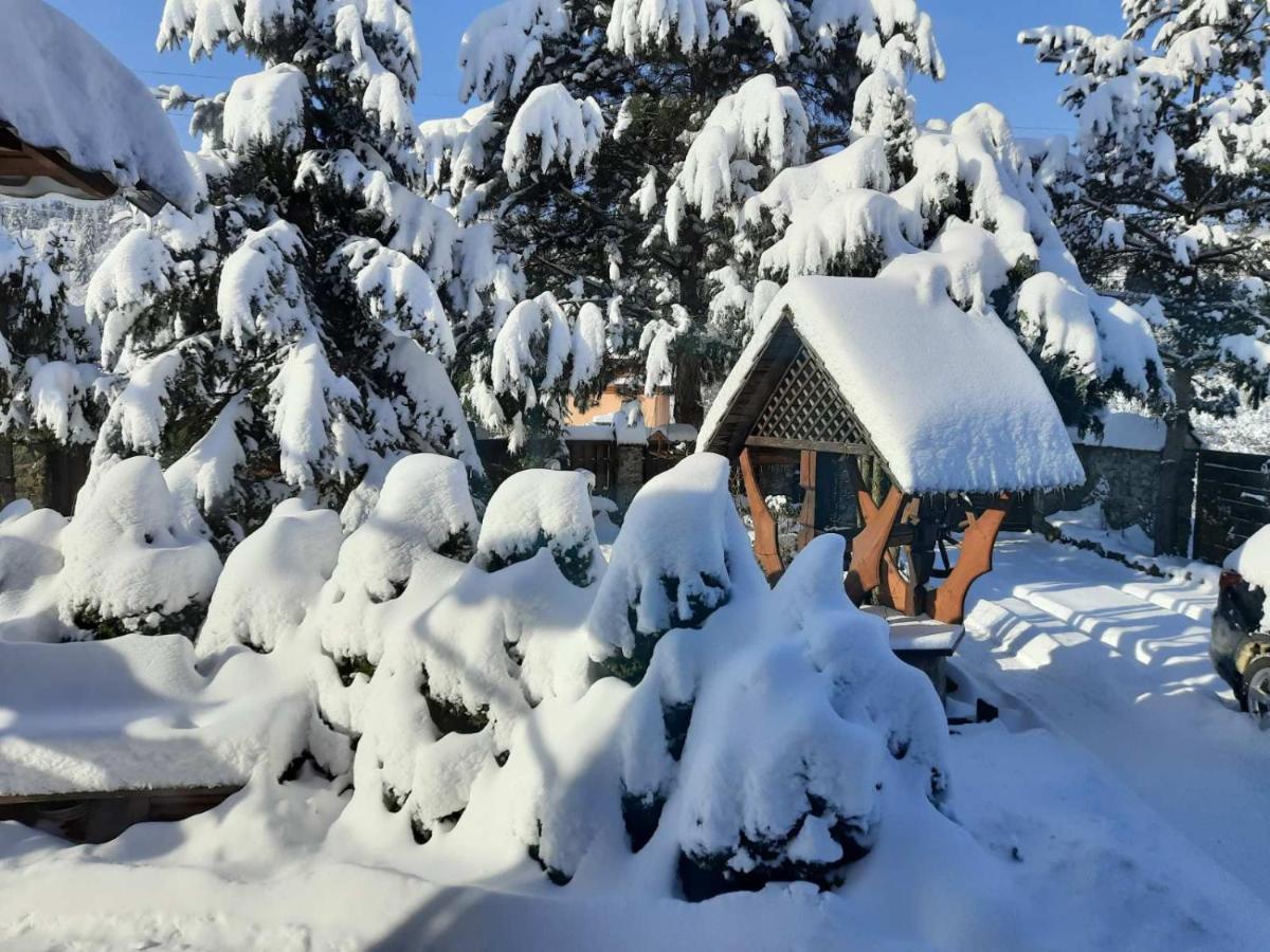 Sadyba Iryna Садиба Ірина Tukhlya Exterior foto