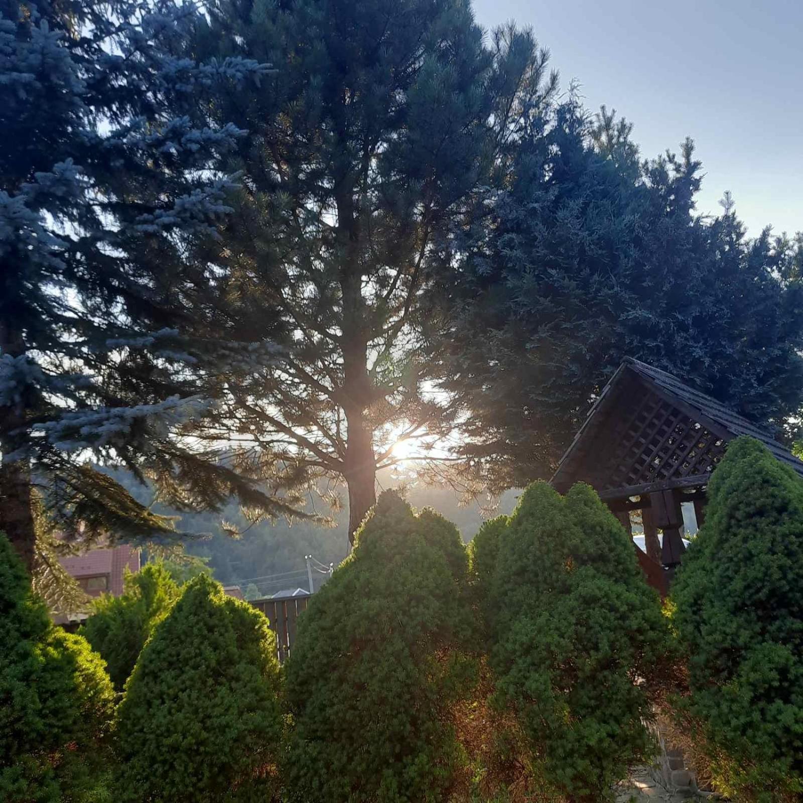Sadyba Iryna Садиба Ірина Tukhlya Exterior foto