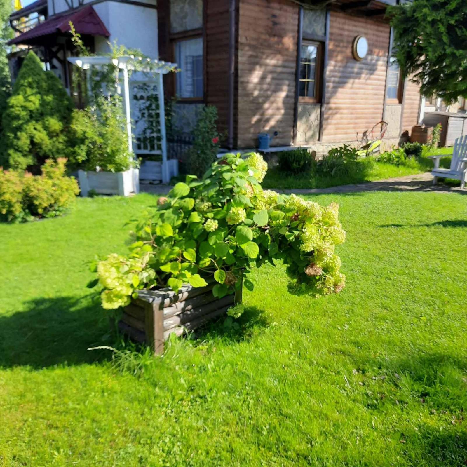 Sadyba Iryna Садиба Ірина Tukhlya Exterior foto